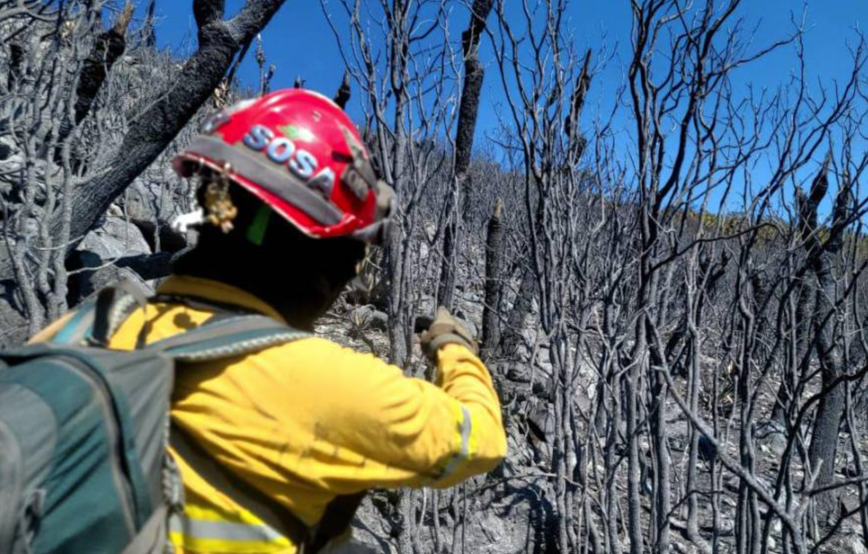 Logran controlar incendio forestal registrado en Zaragoza, Nuevo León